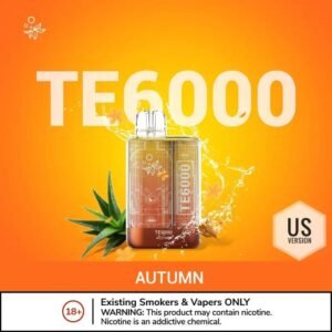 Elf Bar TE6000 Disposable Vape Autumn