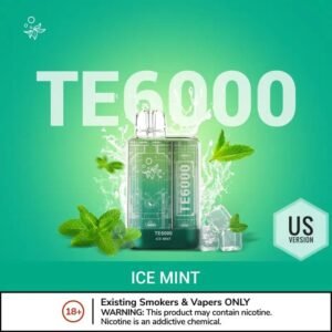 Elf Bar TE6000 Disposable Vape Ice Mint