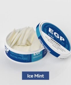  EGP Oral Nicotine Pouches Iced Mint