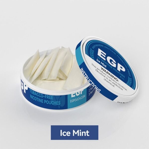  EGP Oral Nicotine Pouches Iced Mint