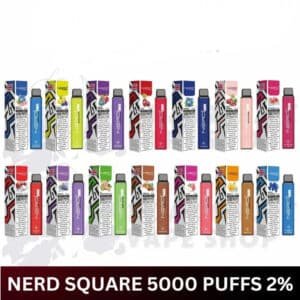 NERD SQUARE 5000 Puffs Disposable Vape