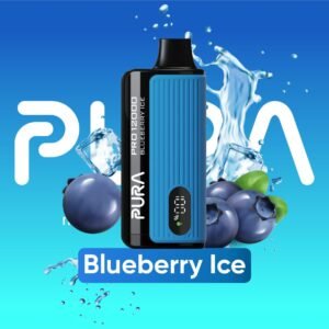 Pura 12000 Puffs Disposable vape Blueberry Ice