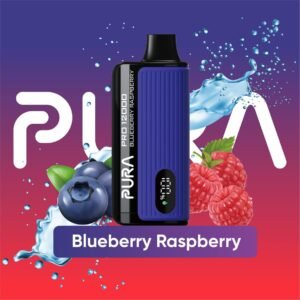 Pura 12000 Puffs Disposable vape Blueberry Raspberry