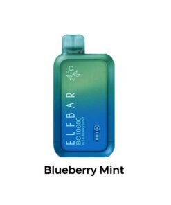 ELF BAR BC10000 Puffs Disposable Vape Blueberry Mint