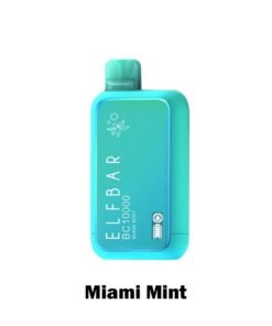 ELF BAR BC10000 Puffs Disposable Vape Miami Mint