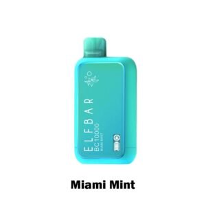 ELF BAR BC10000 Puffs Disposable Vape Miami Mint
