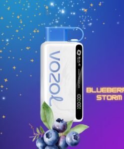 VOZOL STAR 12000 Puffs Disposable Vape Blueberry Storm