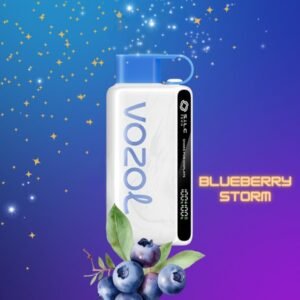 VOZOL STAR 12000 Puffs Disposable Vape Blueberry Storm