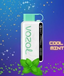 VOZOL STAR 12000 Puffs Disposable Vape Cool Mint