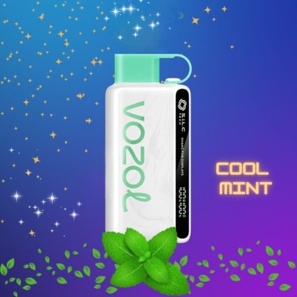 VOZOL STAR 12000 Puffs Disposable Vape Cool Mint