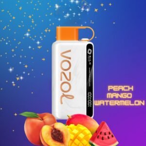VOZOL STAR 12000 Puffs Disposable Vape Peach Mango Watermelon