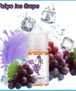 Tokyo Salt-Nic Vape Juice Ice Grape