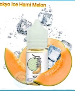 Tokyo Salt Nic Vape Juice Ice Hami Melon