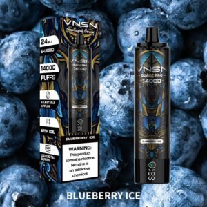 VNSN QUAKE PRO 14000 Puffs disposable vape Blueberry Ice