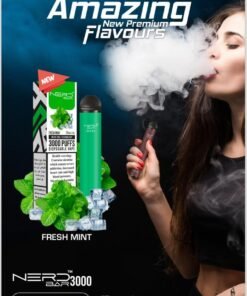 Nerd Bar 3000 Puffs Disposable Vape Fresh Mint