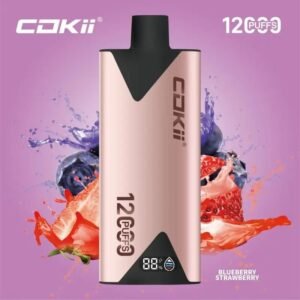 COKII 12000 Puffs Disposable Vape Blueberry Strawberry