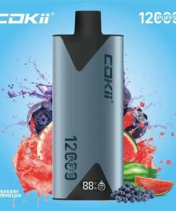 COKII 12000 Puffs Disposable Vape Blueberry Watermelon