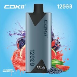 COKII 12000 Puffs Disposable Vape Blueberry Watermelon