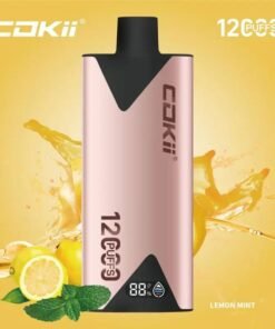 COKII 12000 Puffs Disposable Vape Lemon Mint