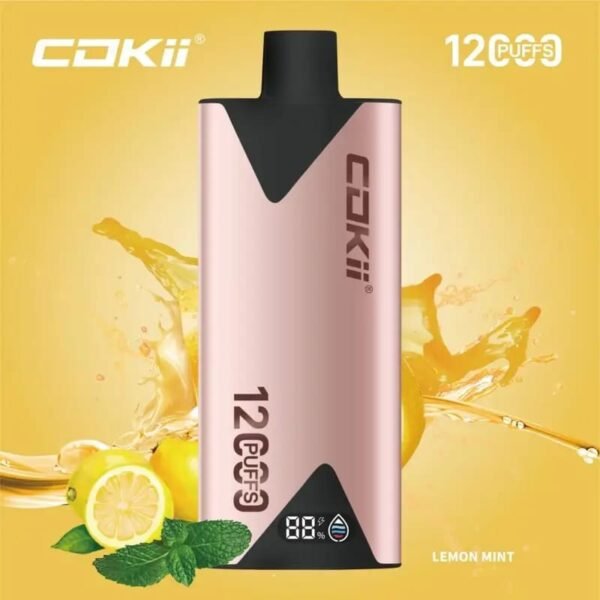 COKII 12000 Puffs Disposable Vape Lemon Mint