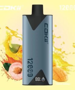 COKII 12000 Puffs Disposable Vape Peach Mango