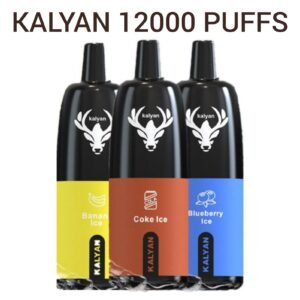 Kalyan Pro 12000 Puffs Disposable Vape