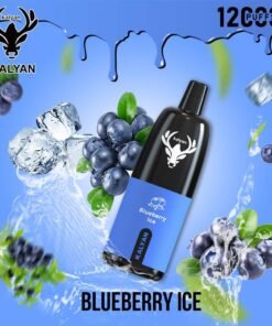 Kalyan Pro 12000 Puffs Disposable Vape Blueberry Ice