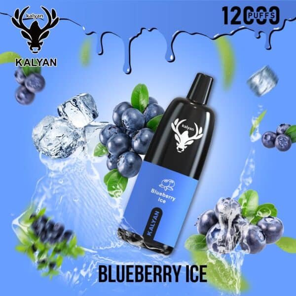 Kalyan Pro 12000 Puffs Disposable Vape Blueberry Ice