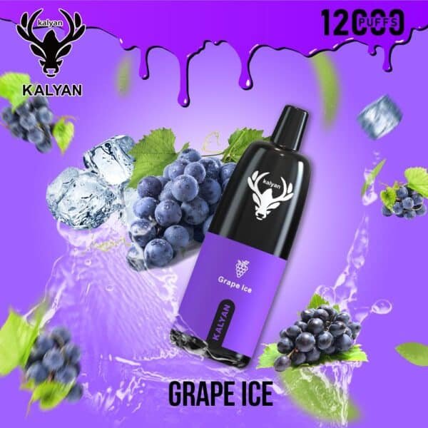 Kalyan Pro 12000 Puffs Disposable Vape Grape Ice