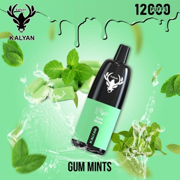 Kalyan Pro 12000 Puffs Disposable Vape Gum Mint