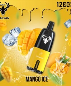 Kalyan Pro 12000 Puffs Disposable Vape Mango Ice