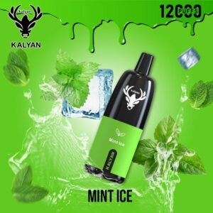 Kalyan Pro 12000 Puffs Disposable Vape Mint Ice