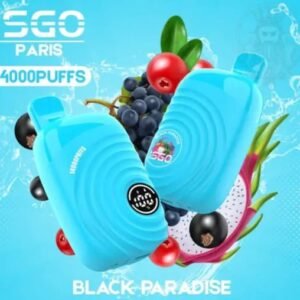 ISGO Paris 14000 Puffs Disposable Vape Black Paradise