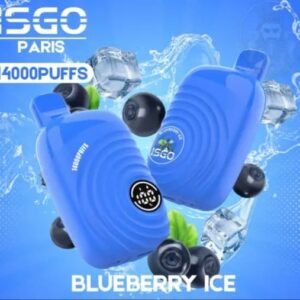 ISGO Paris 14000 Puffs Disposable Vape Blueberry Ice
