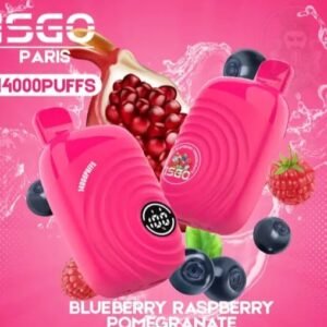 ISGO Paris 14000 Puffs Disposable Vape Blueberry Raspberry Pomgranate