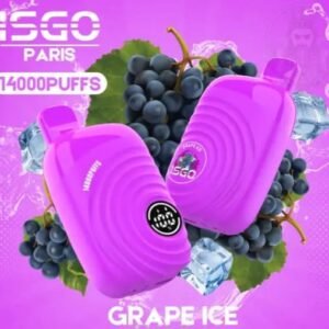 ISGO Paris 14000 Puffs Disposable Vape Grape Ice