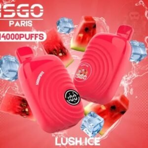 ISGO Paris 14000 Puffs Disposable Vape Lush Ice