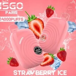ISGO Paris 14000 Puffs Disposable Vape strawberry Ice