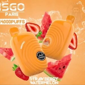 ISGO Paris 14000 Puffs Disposable Vape Strawberry Watermelon