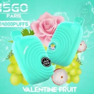 ISGO Paris 14000 Puffs Disposable Vape Valentine Fruit