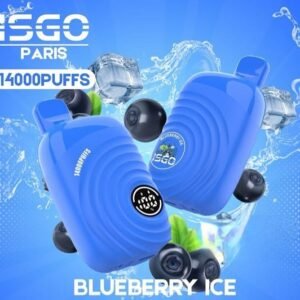 ISGO Vegas 14000 Puffs Disposable Vape Blueberry
