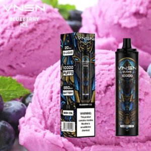 VNSN QUAKE 10000 Puffs Disposable Vape Blueberry Ice