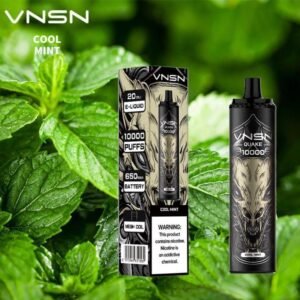VNSN QUAKE 10000 Puffs Disposable Vape Cool Mint