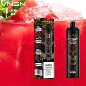 VNSN QUAKE 10000 Puffs Disposable Vape Lush Ice