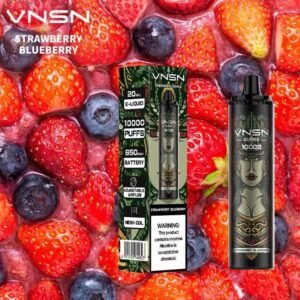 VNSN QUAKE 10000 Puffs Disposable Vape Strawberry Blueberry