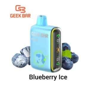Geek Bar Pulse 15000 Puffs Disposable Vape Blueberry Ice