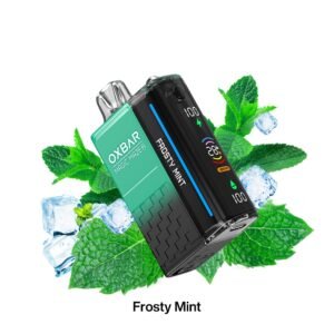 OXBAR Magic Maze 2 Pod Juice 30K PuffS Vape Frosty Mint