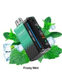 OXBAR Magic Maze 2 Pod Juice 30K PuffS Vape Frosty Mint