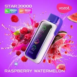 VOZOL Star 20000 Puffs Disposable Vape Raspberry Watermelon