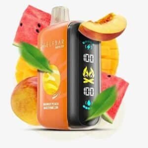 ELF BAR Raya D325000 Peach Mango Watermelon